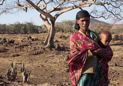 نفوق الماشية بسبب الجفاف في جنوب إثيوبيا