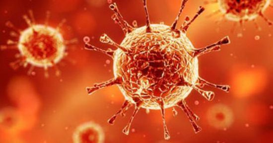 كوريا الجنوبية: 10735 إصابة جديدة بفيروس كورونا