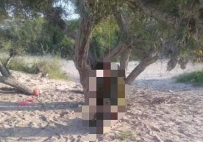 العثور على مجهول الهوية مشنوقا بشبوة