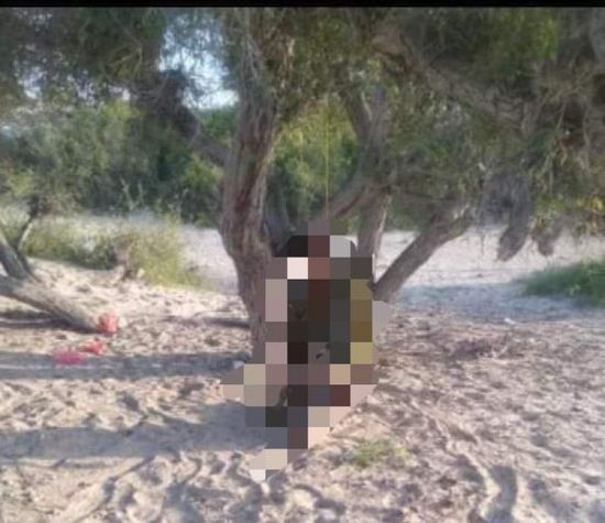 العثور على مجهول الهوية مشنوقا بشبوة