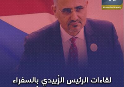 لقاءات ‫الرئيس الزُبيدي‬ بالسفراء العرب.. ‫الجنوب‬ قوي بأشقائه (فيديوجراف)‫
