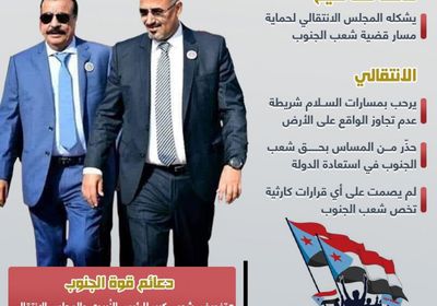 المجلس الانتقالي.. حائط صد لحماية قضية شعب الجنوب (إنفوجراف)