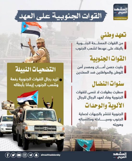 القوات الجنوبية على العهد (إنفوجراف)