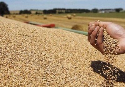 شح المياه في تونس يهدد بموسوم انتاج حبوب "كارثي"