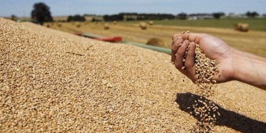 شح المياه في تونس يهدد بموسوم انتاج حبوب "كارثي"