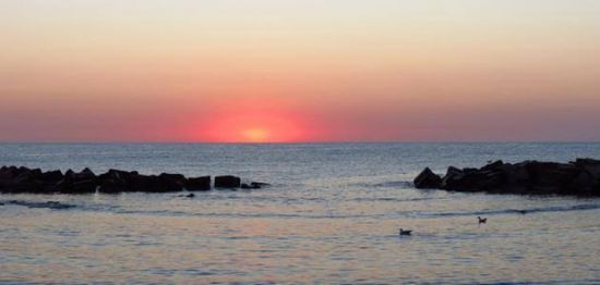 الكرملين: البحر الأسود لن يكون بحرا لحلف الأطلسي