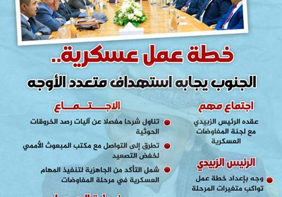 خطة عمل عسكرية.. الجنوب يجابه استهداف متعدد الأوجه (إنفوجراف)