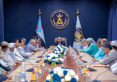 بن بريك يكشف تحضيرات للقاء جنوبي تشاوري شامل