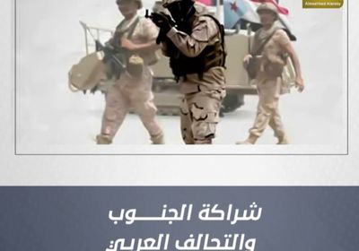 شِراكة الجنوب والتحالف العربي ضمانة الاستقرار (فيديوجراف)