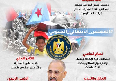 هيكلة "الانتقالي".. معايير تنظيمية ومهنية (إنفوجراف)