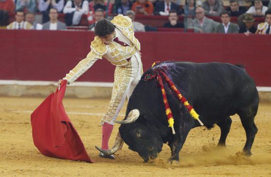 إسبانيا تحظر عروض مصارعة الثيران يشارك فيها الأقزام