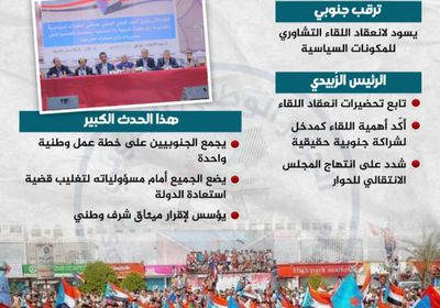 اللقاء التشاوري.. الجنوبيون يترقبون "إعداد الميثاق" (إنفوجراف)