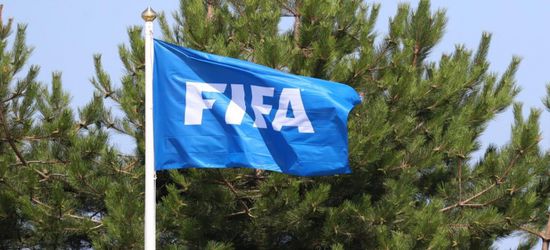 مويا دود: الفيفا مسؤول عن التقليل من قيمة كأس العالم للسيدات