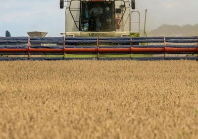 روسيا غير راضية عن التقدم المحرز بالصادرات الزراعية