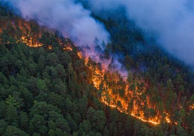 مقتل 4 جراء حرائق بجبال الأورال الروسية