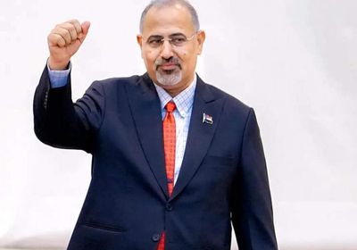 بن فريد يكشف عن قيادة الرئيس الزُبيدي شخصيا للحوار الجنوبي