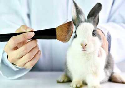 بريطانيا تسمح باختبار مستحضرات التجميل على الحيوانات