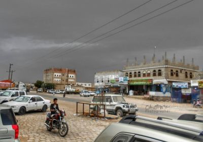 القبض على عصابة لترويج الحشيش في جول الريدة