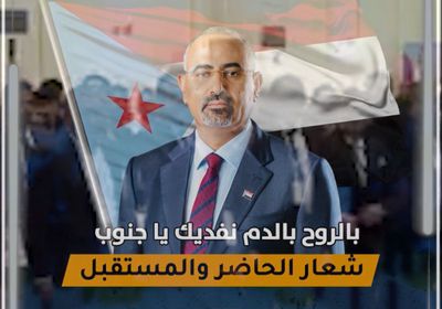 بالروح بالدم نفديك يا ‫جنوب‬.. شعار الحاضر والمستقبل (فيديوجراف)‫