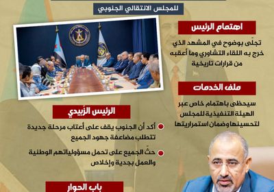 الرئيس الزُبيدي يرسم خارطة عمل القيادة الجنوبية (إنفوجراف)