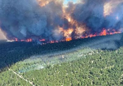 الجيش الكندي يساعد بمكافحة حرائق الغابات في ألبرتا