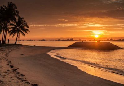 سنغافورة تسجل أعلى درجة حرارة منذ 40 عامًا