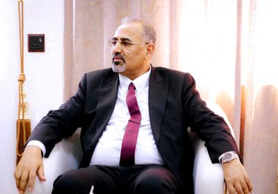 الرئيس الزُبيدي يستقبل وفدا عسكريا مصريا