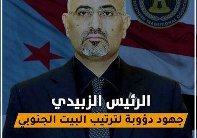 الرئيس الزُبيدي‬⁩.. جهود دؤوبة لترتيب البيت الجنوبي (فيديوجراف)&rlm;⁧‫