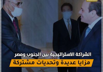 الشراكة الاستراتيجية بين ‫الجنوب‬ ومصر‬.. مزايا عديدة وتحديات مشتركة (فيديوجراف)‫
