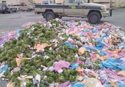 السعودية: ضبط 12 مهربًا يمنيا للقات في جازان