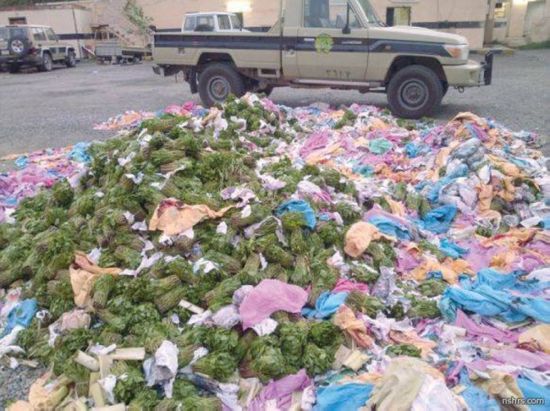 السعودية: ضبط 12 مهربًا يمنيا للقات في جازان