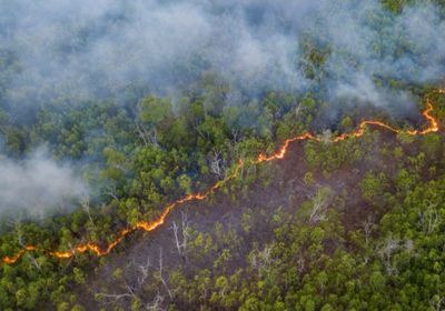 شركات النفط بألبرتا الكندية تستأنف النشاط بعد إخماد حرائق الغابات