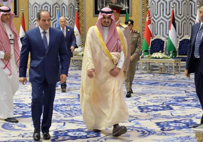 الرئيس السيسي: ندعم كل الجهود لتفعيل التعاون العربي