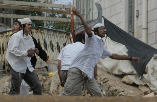 عشرات المستوطنين ينفذون عمليات عنف في الخليل