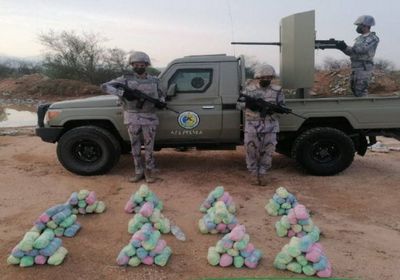 ضبط 6 يمنيين خلال تهريب القات إلى جازان