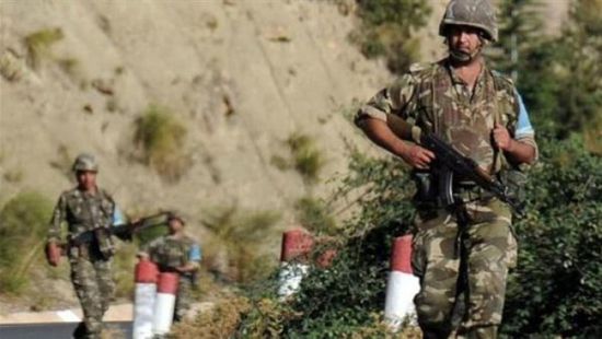 الجيش الجزائري يعتقل 12 إرهابيًا