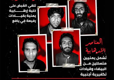 الإرهاب يترنح في الجنوب.. خلية تكفيرية بقبضة الجيش (إنفوجراف)