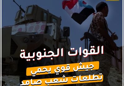 القوات الجنوبية‬⁩ .. جيش قوي يحمي تطلعات شعب صامد (فيديوجراف)&rlm;⁧‫