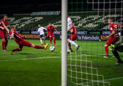 هايدنهايم يصعد إلى الدوري الألماني