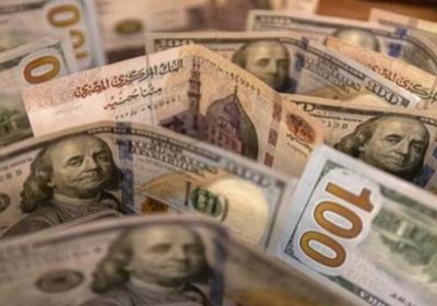 الدولار يحافظ على استقراره مقابل الجنيه المصري