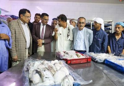 تنتج 25 طنا يوميا.. السقطري يتفقد شركة أسماك المشقاص بالريدة