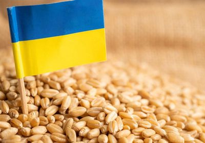 أوكرانيا: تمديد القيود على استيراد الحبوب غير مناسب