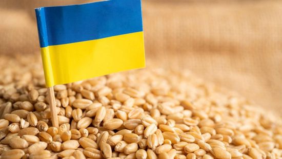 أوكرانيا: تمديد القيود على استيراد الحبوب غير مناسب