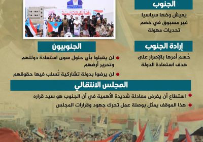 الجنوب سيد قراره.. لا تراجع عن هدف استعادة  الدولة (إنفوجراف)