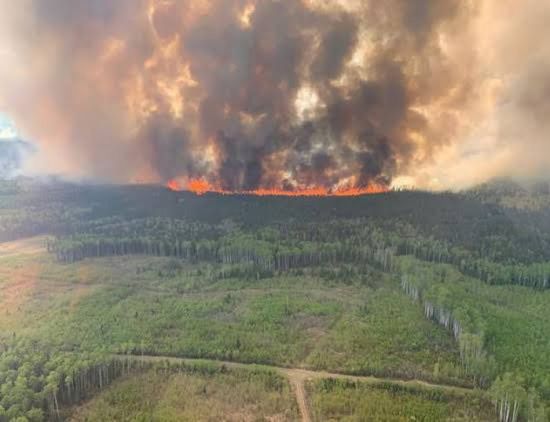 حرائق الغابات تجتاح كندا 