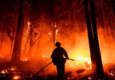 مصرع 14 شخصًا في حرائق غابات بكازاخستان