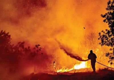 8 سنوات سجن لمزارع تسبب بأسوأ حريق في قبرص
