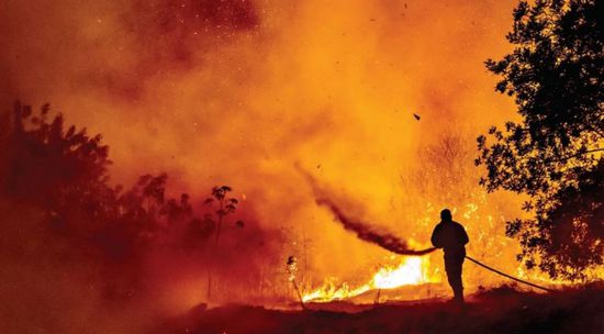 8 سنوات سجن لمزارع تسبب بأسوأ حريق في قبرص