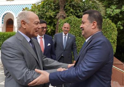 أبو الغيط وشياع يبحثان تطورات الأوضاع العربية