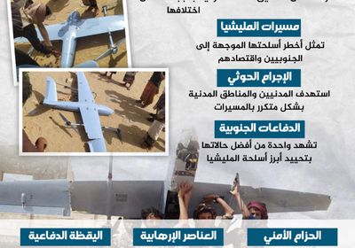 تحييد خطر مسيرات الحوثي (إنفوجراف)